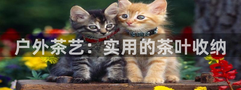 sbo利记体育官网注册