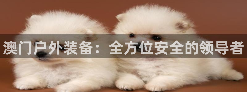 利记二手车行官网