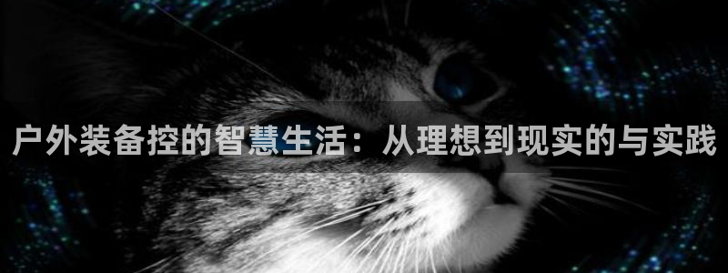 利记彩票官网网址官网hd71
