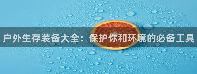利记网官网网址