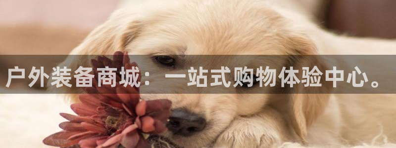 利记手机官网入口