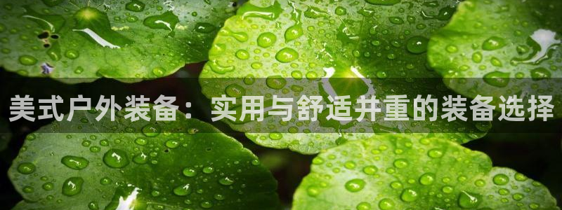 利记正式官网