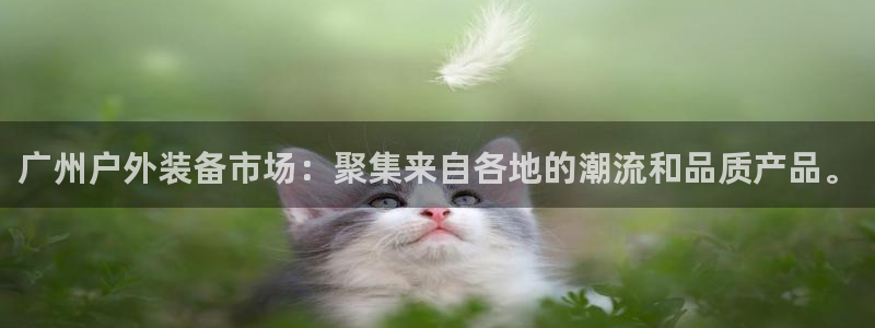 利记体育手机版官网