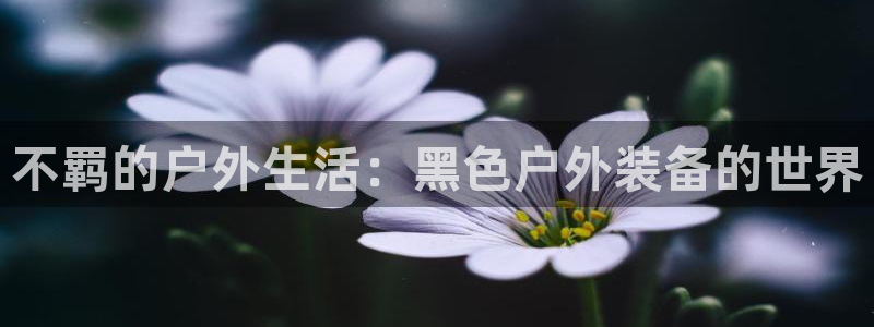 利记坊官网