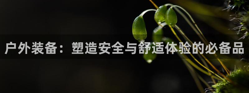 利记手机官网银河网