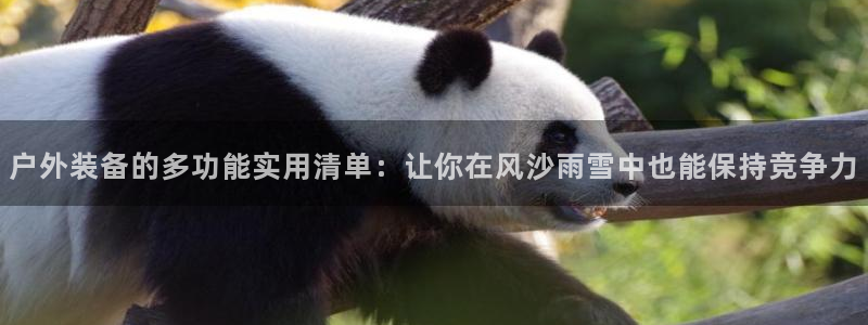 利记体育app官网