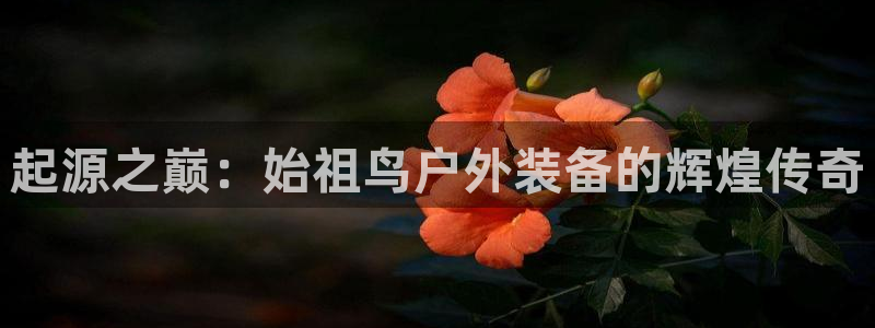 利记彩票官网