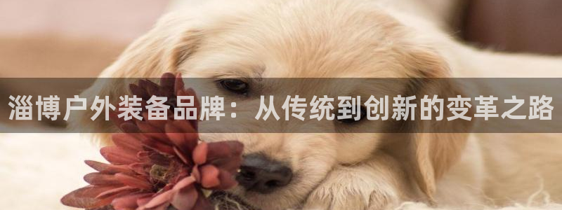 利记彩票官网网址官网hd71