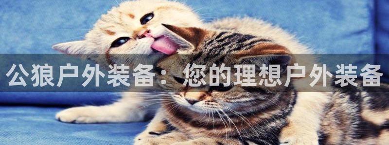 利记彩票官网wx678 com