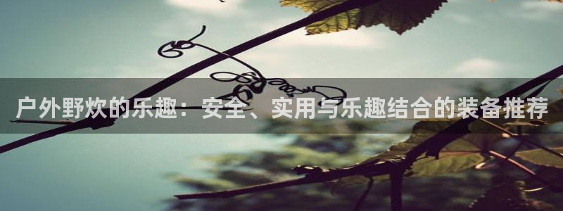 利记官网app下载网址日博官网网址