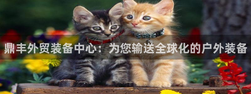 利记坊官网登录