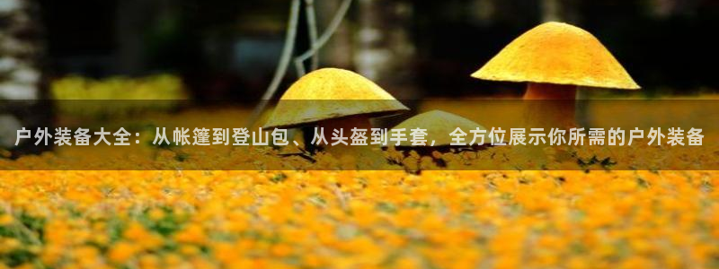 利记app官网真人游戏