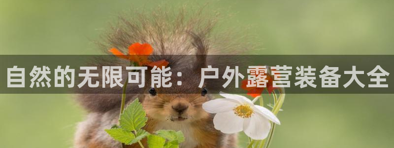 188bet注册利记官网app