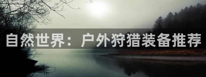 利记国际有限公司官网