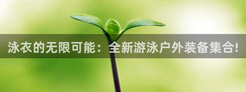 利记官网是真的吗