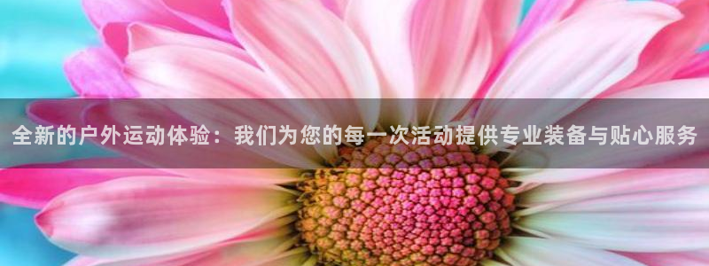 利记官网加盟