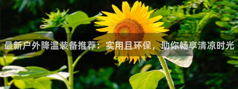 利记手机官网银河网