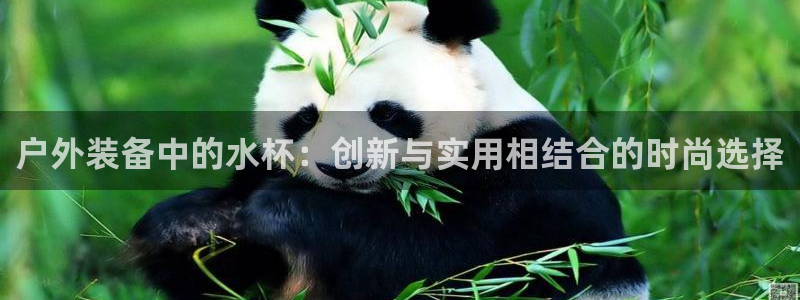 利记sbobet官网电脑版