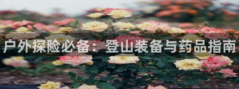 利记彩票官网