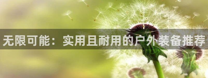 利记真正的官网是多少