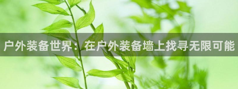 利记app官网入口