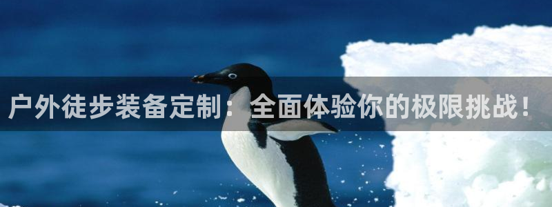 利记官网备用网址