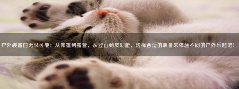 利记二手车行官网