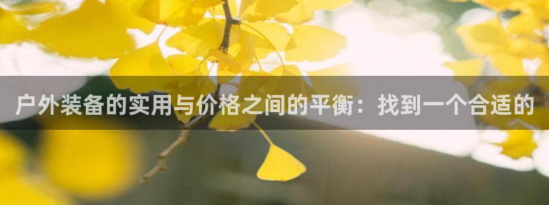 利记手机官网银河网