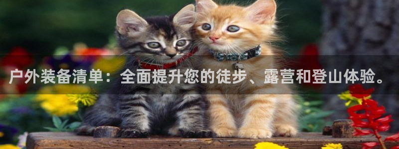 利记真正的官网是多少