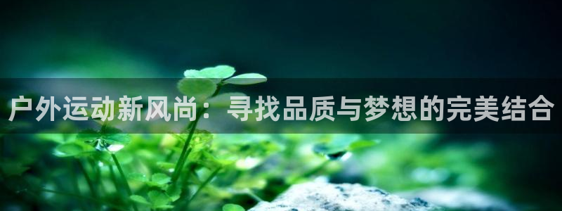 利记体育手机版官网