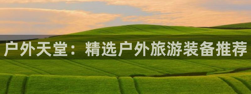 利记现场官网