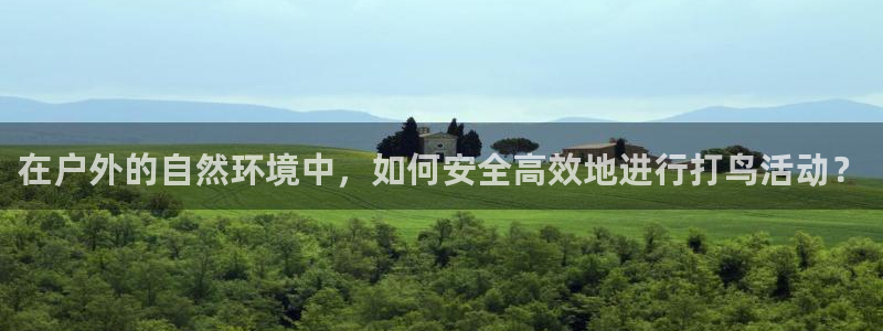 利记官网平台