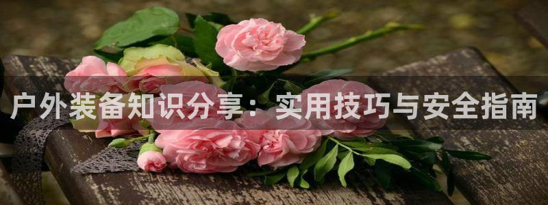 利记彩票官网wx678 com