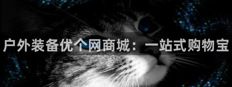 利记厨具官网售后