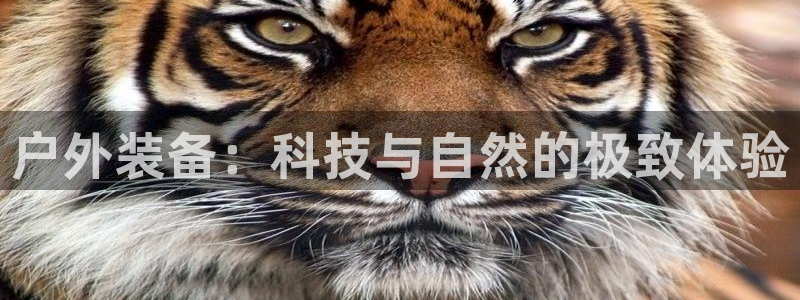 利记真正的官网是多少