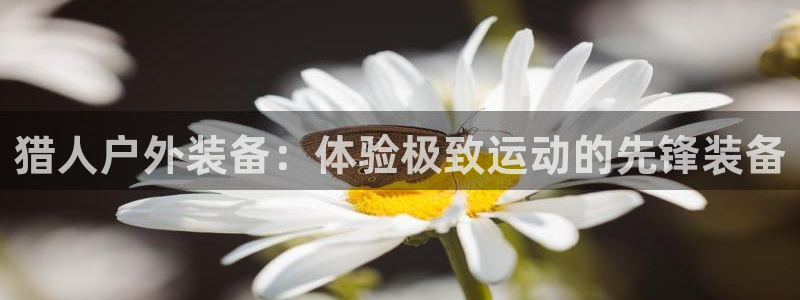 利记官网平台入口