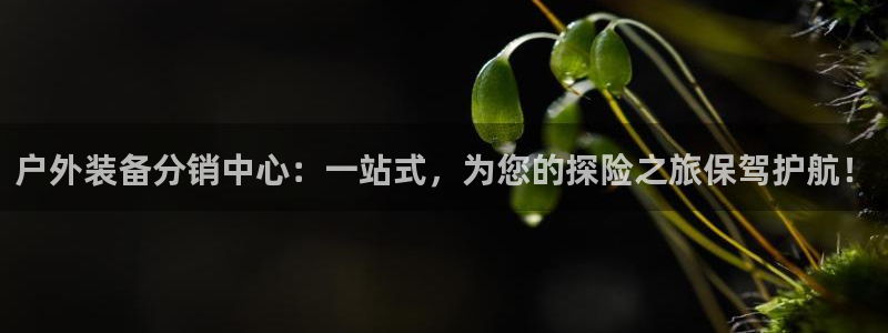 利记官网首页