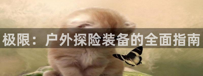 利记彩票导航网址官网hd71