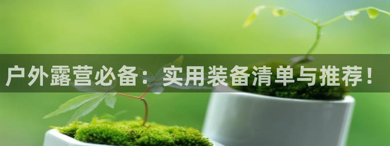 利记官网平台