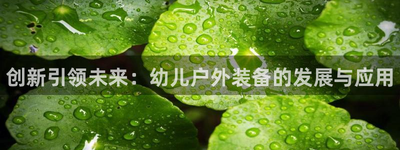 利记 利记官网