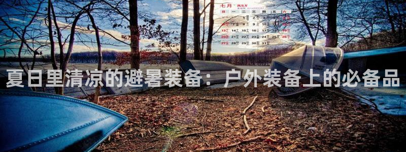 利记广告联盟官网