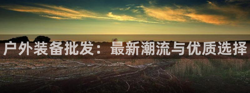 利记手机官网bb电子平台官方