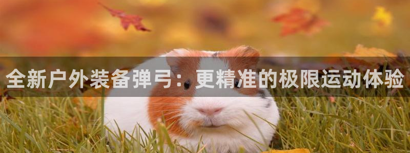 利记娱乐网官网