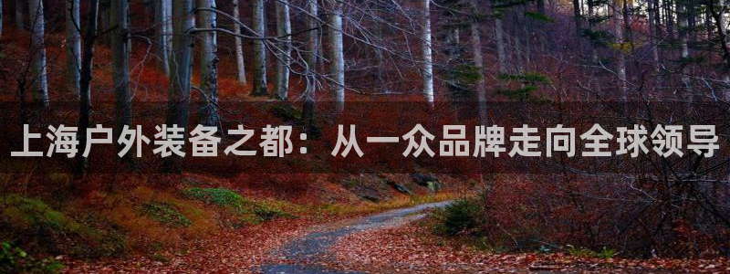 利记国际线址官网