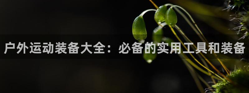 利记体育官网首页