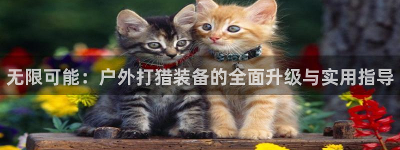 利记官网在线投注