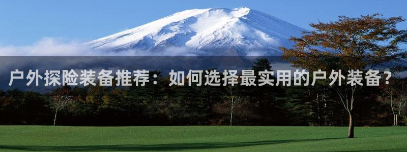 利记体育官网首页