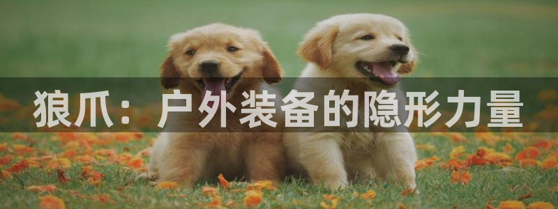 利记彩票网网址官网hd71