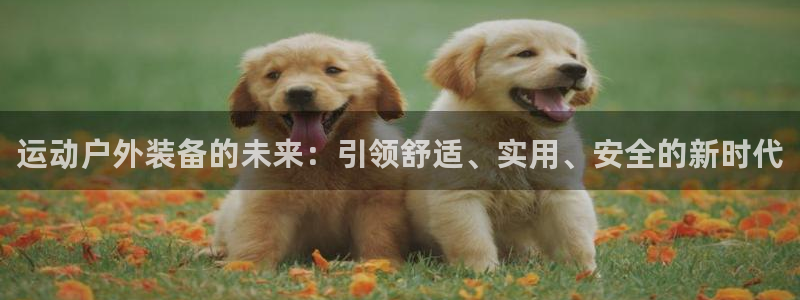 利记官网日亚运比