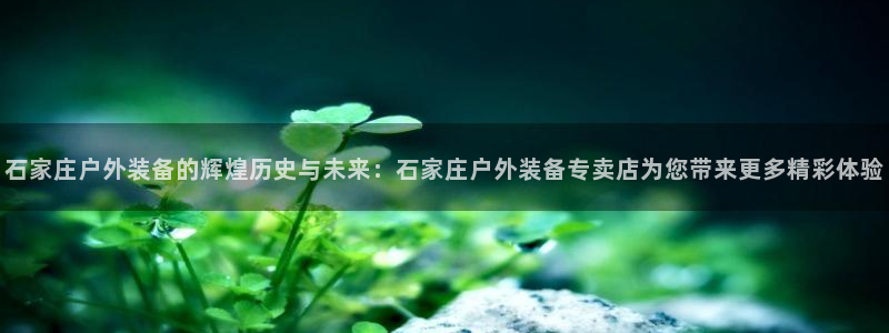 利记官网是什么
